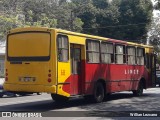 Lince 68 na cidade de Asunción, Paraguai, por Willian Lezcano. Número da foto: #12421142.