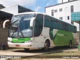 Pássaro Verde 29016 na cidade de Viçosa, Minas Gerais, Brasil, por Christian  Fortunato. Número da foto: #:id.