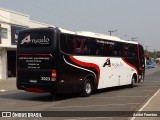 Angulo Turismo 2023 na cidade de Holambra, São Paulo, Brasil, por André Fermino . Número da foto: #:id.