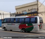 IdealBus 2830 na cidade de Guarulhos, São Paulo, Brasil, por Felipe Mariz. Número da foto: #12423011.