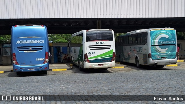 Viação Águia Branca 32890 na cidade de Cruz das Almas, Bahia, Brasil, por Flávio  Santos. Número da foto: #12377578.