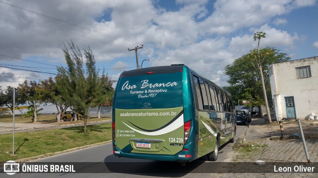 Asa Branca Turismo 124329 na cidade de Gravatá, Pernambuco, Brasil, por Leon Oliver. Número da foto: #12376091.