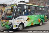 Empresa de Transportes Nuevo California S.A 172 na cidade de Trujillo, Trujillo, La Libertad, Peru, por MIGUEL ANGEL CEDRON RAMIREZ. Número da foto: #12375836.