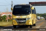 Coopetpan CN 017 na cidade de Santa Bárbara do Pará, Pará, Brasil, por Fabio Soares. Número da foto: #12377048.