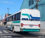 Ônibus Particulares 4C74 na cidade de Recife, Pernambuco, Brasil, por Daniel  Julio. Número da foto: #12378246.