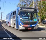 Empresa de Ônibus Vila Galvão 30.633 na cidade de Guarulhos, São Paulo, Brasil, por Felipe Mariz. Número da foto: #12377929.