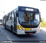 Viação Campo dos Ouros 3295 na cidade de Guarulhos, São Paulo, Brasil, por Felipe Mariz. Número da foto: #12377936.