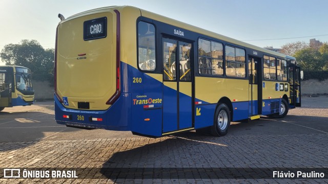 Trancid - Transporte Cidade de Divinópolis 260 na cidade de Divinópolis, Minas Gerais, Brasil, por Flávio Paulino. Número da foto: #12423374.