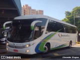 Ipojucatur 1019 na cidade de Sorocaba, São Paulo, Brasil, por Alexandre  Magnus. Número da foto: #12423709.