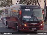 Borborema Imperial Transportes 2311 na cidade de Recife, Pernambuco, Brasil, por Alexandre  Magnus. Número da foto: #12423658.