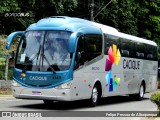 Cacique Transportes 4343 na cidade de Salvador, Bahia, Brasil, por Felipe Pessoa de Albuquerque. Número da foto: #:id.