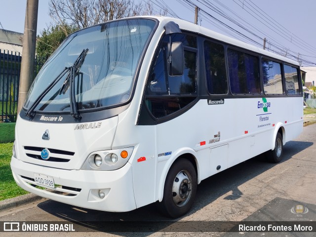 Embrapa 3928 na cidade de Curitiba, Paraná, Brasil, por Ricardo Fontes Moro. Número da foto: #12425911.