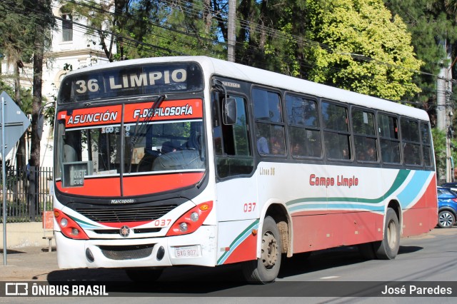 Campo Limpio - Linea 36 037 na cidade de Limpio, Central, Paraguai, por José Paredes. Número da foto: #12427154.