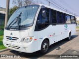 Embrapa 3928 na cidade de Curitiba, Paraná, Brasil, por Ricardo Fontes Moro. Número da foto: #12425911.