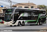 Viagens Chapecó 2023 na cidade de Balneário Camboriú, Santa Catarina, Brasil, por Kauan Lucio. Número da foto: #12426050.