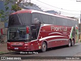 FrontSul Turismo 280 na cidade de Porto Alegre, Rio Grande do Sul, Brasil, por Otávio dos Reis . Número da foto: #12427798.