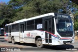 TTL S.A. - Transporte y Turismo Lambaré - Líneas 23-24-31 y 33 1610 na cidade de Limpio, Central, Paraguai, por José Paredes. Número da foto: #12427311.