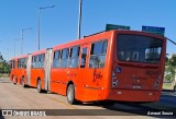 Transporte Coletivo Glória BD141 na cidade de Curitiba, Paraná, Brasil, por Amauri Souza. Número da foto: #12428013.