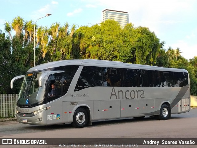 Ancora Tur 2020 na cidade de Curitiba, Paraná, Brasil, por Andrey  Soares Vassão. Número da foto: #12428750.