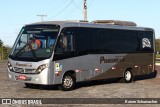 Pinheiro Tur 01 na cidade de Montenegro, Rio Grande do Sul, Brasil, por Rainer Schumacher. Número da foto: #:id.