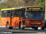 Transrosa 1702 na cidade de Lagoa Santa, Minas Gerais, Brasil, por Marcelo Ribeiro. Número da foto: #12429611.