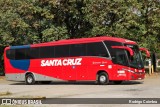 Viação Santa Cruz 29020 na cidade de São Paulo, São Paulo, Brasil, por Rodrigo Coimbra. Número da foto: #12429074.