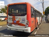 Expresso CampiBus 2287 na cidade de Campinas, São Paulo, Brasil, por Guilherme Pedroso Alves. Número da foto: #:id.