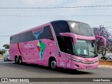 Nova América Turismo 2800 na cidade de Holambra, São Paulo, Brasil, por André Fermino . Número da foto: #12430442.