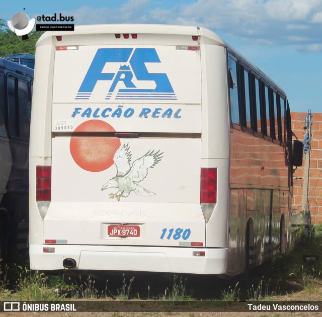 Falcão Real 1180 na cidade de Juazeiro, Bahia, Brasil, por Tadeu Vasconcelos. Número da foto: #12432908.