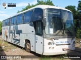 Falcão Real  na cidade de Juazeiro, Bahia, Brasil, por Tadeu Vasconcelos. Número da foto: #:id.