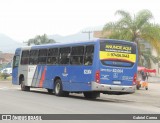 Empresa de Ônibus Pássaro Marron 82.004 na cidade de Ubatuba, São Paulo, Brasil, por Gabriel Correa. Número da foto: #12431942.