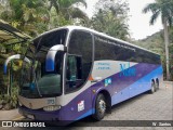 Nobre 3113 na cidade de Domingos Martins, Espírito Santo, Brasil, por W. Santos. Número da foto: #:id.