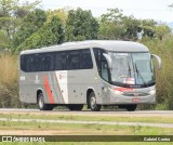 Empresa de Ônibus Pássaro Marron 91.316 na cidade de Ubatuba, São Paulo, Brasil, por Gabriel Correa. Número da foto: #12431929.