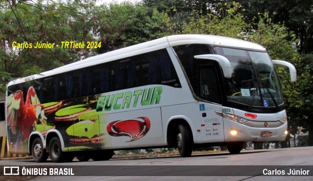 Eucatur - Empresa União Cascavel de Transportes e Turismo 4923 na cidade de São Paulo, São Paulo, Brasil, por Carlos Júnior. Número da foto: #12434494.