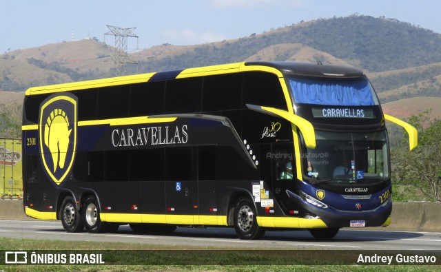 Caravellas Transportes e Turismo 2301 na cidade de Roseira, São Paulo, Brasil, por Andrey Gustavo. Número da foto: #12435966.