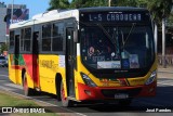 La Chaqueña 2230 na cidade de Mariano Roque Alonso, Central, Paraguai, por José Paredes. Número da foto: #12434824.