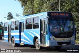 Vanguardia SACI - Línea 30 77 na cidade de Luque, Central, Paraguai, por José Paredes. Número da foto: #12434932.
