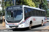TTL S.A. - Transporte y Turismo Lambaré - Líneas 23-24-31 y 33 1622 na cidade de Limpio, Central, Paraguai, por José Paredes. Número da foto: #12434722.
