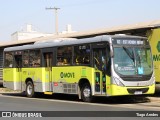 Milênio Transportes 41137 na cidade de Belo Horizonte, Minas Gerais, Brasil, por Tiago Aredes. Número da foto: #12437680.