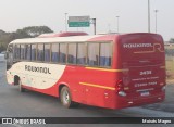 Rouxinol 2433 na cidade de Belo Horizonte, Minas Gerais, Brasil, por Moisés Magno. Número da foto: #:id.