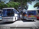 Acafoleca 3624 na cidade de Guaxupé, Minas Gerais, Brasil, por Douglas Freitas. Número da foto: #12436920.