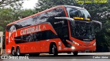 Catedral Turismo 23525 na cidade de São Paulo, São Paulo, Brasil, por Carlos Júnior. Número da foto: #12439056.