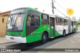 VB Transportes e Turismo 3245 na cidade de Campinas, São Paulo, Brasil, por Wellington Lima. Número da foto: #12438654.