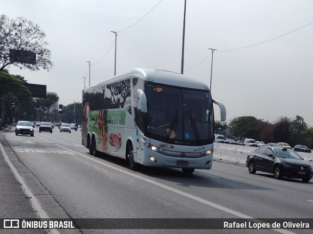Eucatur - Empresa União Cascavel de Transportes e Turismo 4941 na cidade de São Paulo, São Paulo, Brasil, por Rafael Lopes de Oliveira. Número da foto: #12439310.