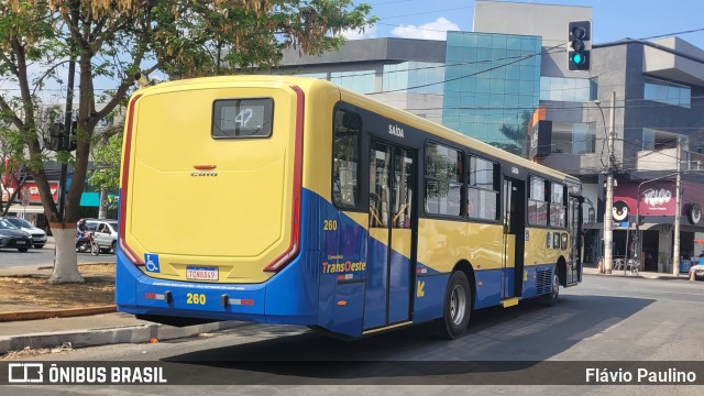 Trancid - Transporte Cidade de Divinópolis 260 na cidade de Divinópolis, Minas Gerais, Brasil, por Flávio Paulino. Número da foto: #12441242.