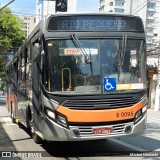 TRANSPPASS - Transporte de Passageiros 8 0095 na cidade de São Paulo, São Paulo, Brasil, por Michel Nowacki. Número da foto: #12441224.