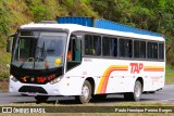TAP Turismo e Fretamento 073 na cidade de Piraí, Rio de Janeiro, Brasil, por Paulo Henrique Pereira Borges. Número da foto: #12439974.