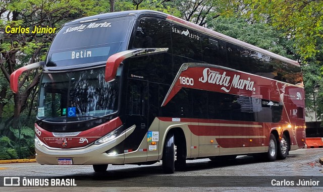 Santa Maria Fretamento e Turismo > Transportes Santa Maria(SP) 1800 na cidade de São Paulo, São Paulo, Brasil, por Carlos Júnior. Número da foto: #12442541.