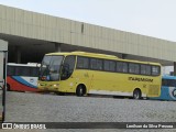 Viação Itapemirim 8533 na cidade de Caruaru, Pernambuco, Brasil, por Lenilson da Silva Pessoa. Número da foto: #12442577.