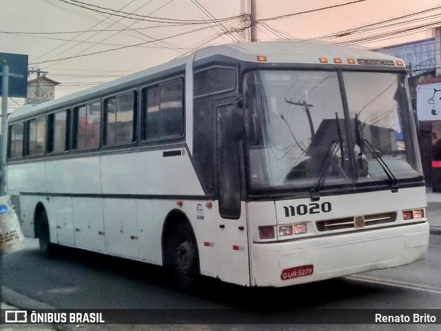 Empresa Gontijo de Transportes 11020 na cidade de Belo Horizonte, Minas Gerais, Brasil, por Renato Brito. Número da foto: #12443910.